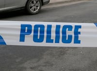 Driver sought after hit and run collision near Two Bridges 