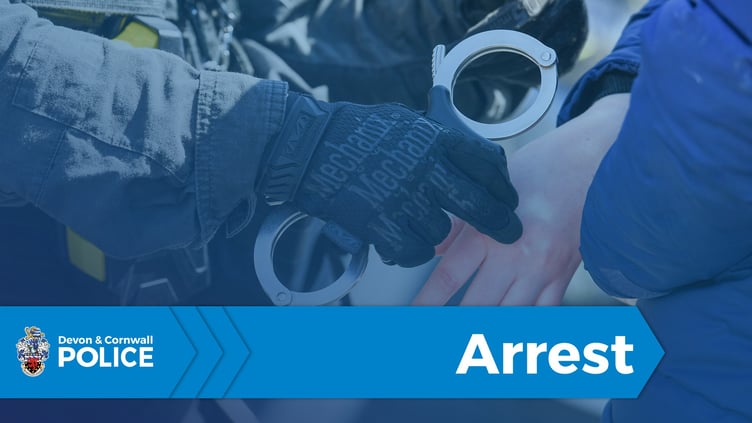 Arrested - police pic