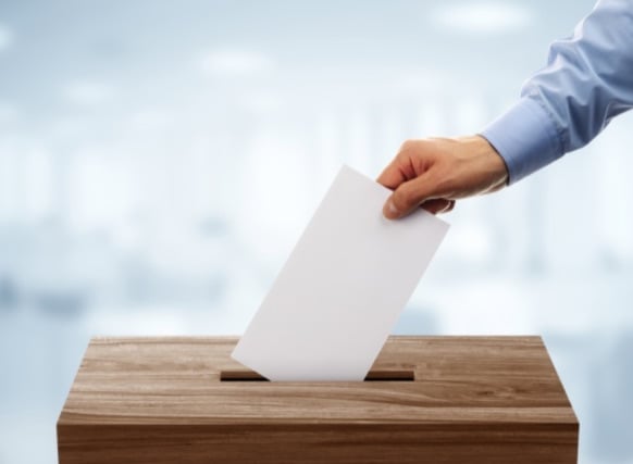 Who will get your vote in Kenn Valley Ward on Teignbridge Council?