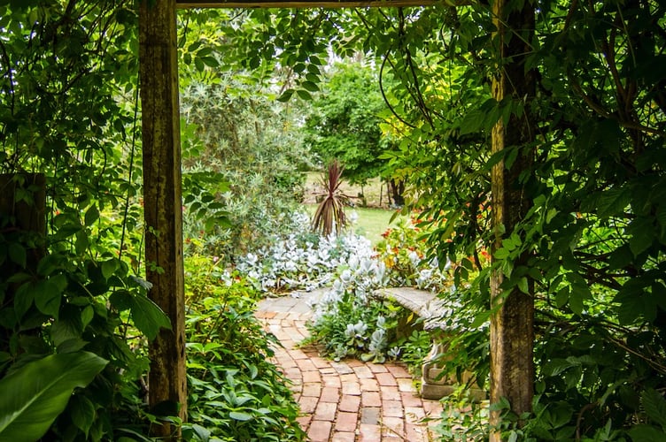 garden stock image
