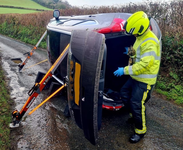 Couple and a dog rescued from overturned car