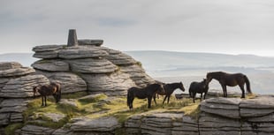 New parking charges hit Dartmoor