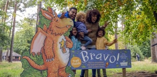 More Easter holiday fun – follow Zog on the Haldon Forest Trail