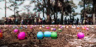 Swashbuckling Easter egg hunt at historic Devon abbey