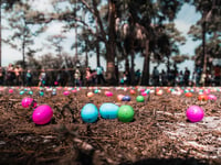 Swashbuckling Easter egg hunt at historic Devon abbey