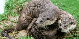 The weird and the wonderful