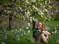 National Trust in South West invites public to celebrate spring