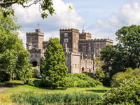 Coronation live screening at Powderham Castle