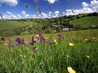 Walk offers insight into low-impact farming