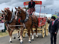 WATCH: a magnificent display of Heavy |Horses at the Devon County Show