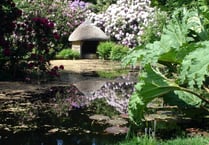 Explore open gardens