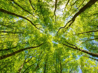 Have Your Say on how the region adapts to climate change

