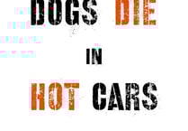 Dogs die in hot cars warn Newton Abbot police