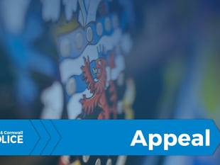 Police investigate night time raids on garages in NewtonAbbot