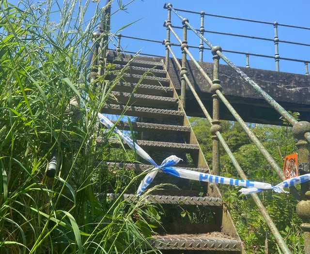 Serious sexual assault on woman in Newton Abbot investigated by police
