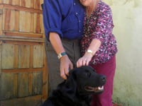 Bovey Tracey cuple’s search for missing dog