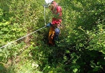 Cave rescue volunteers join hunt for missing dog
