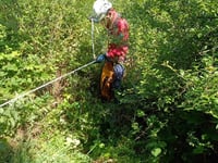 Cave rescue volunteers join hunt for missing dog