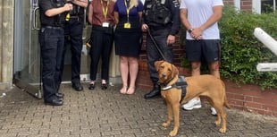 Police Dog Skye calls in on pupils at Newton Abbot College