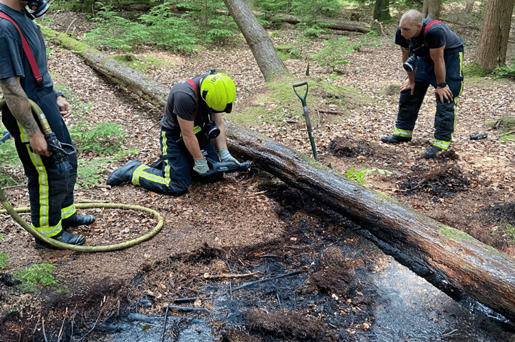 Open fire in woodland at Bovey Tracey