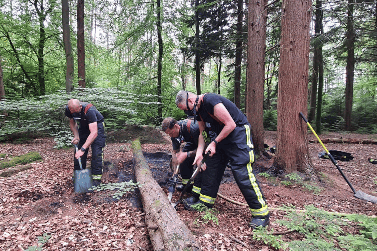 Open fire in woodland at Bovey Tracey