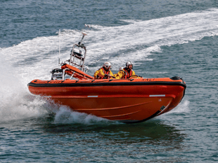 RNLI rescue dog after Watcombe Beach distress call