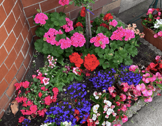Green fingers at the ready for garden show 