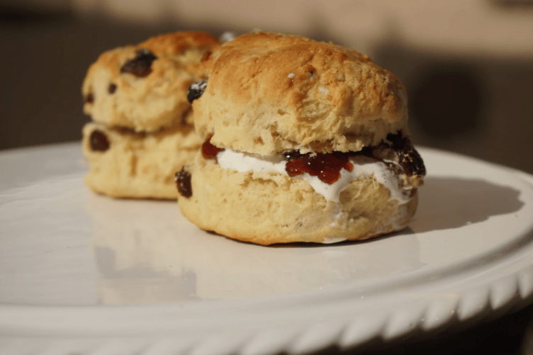 Cream tea stock image