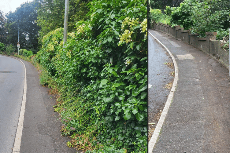 Newton Abbot Town Council's FMOs have cleared the pavement on Totnes Road