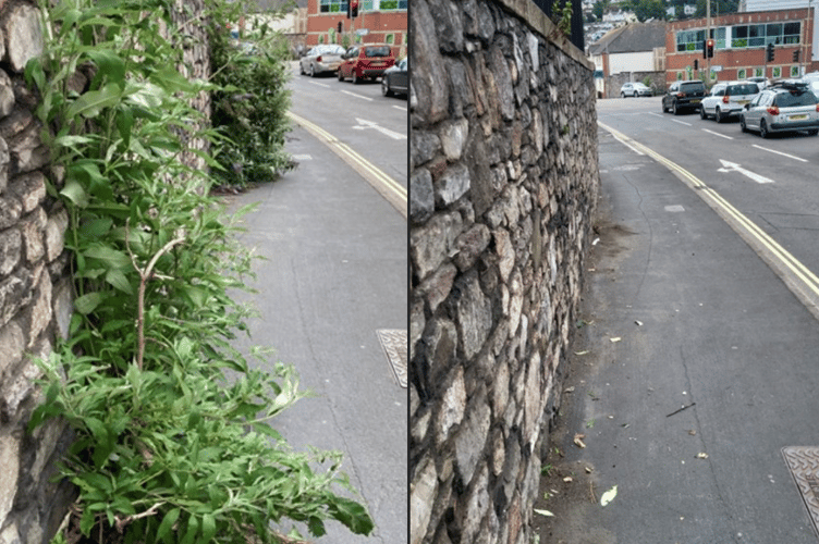Weeds cleared on Halcyon Road by FMOs