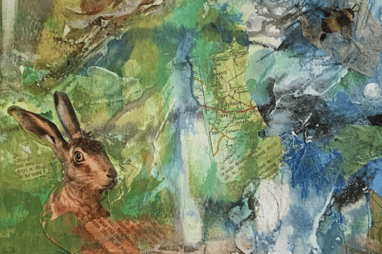 Kathie Weedon