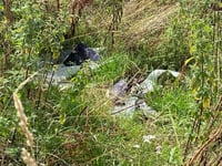 Vandals attack new park