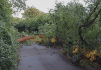 Devon Highways teams thanked for swift clear-up after storm