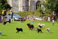 Everything you could want at a country fair including a terrier race!