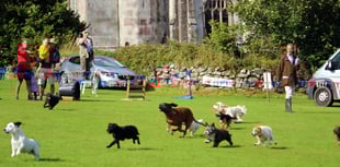Everything you could want at a country fair including a terrier race!