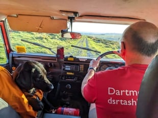 Dog rescued after snake bite attack on the moors
