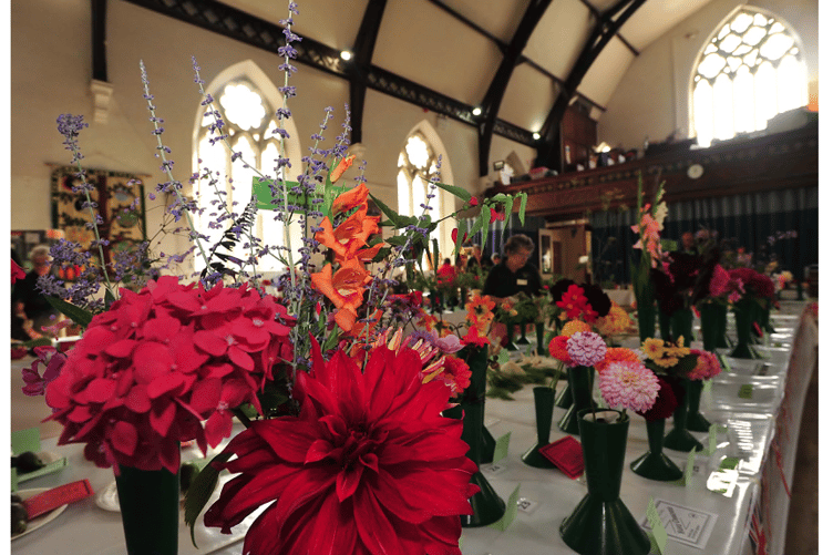 Dawlish Garden Society Summer Show