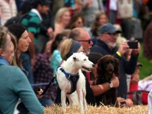 Rural crime advice on offer at agricultural show