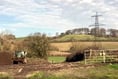 Order to protect trees on Newton Abbot development site