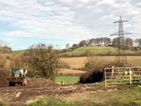 Order to protect trees on Newton Abbot development site