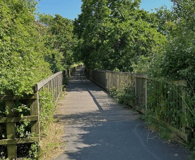 Exe Estuary Trail section to be closed for repairs
