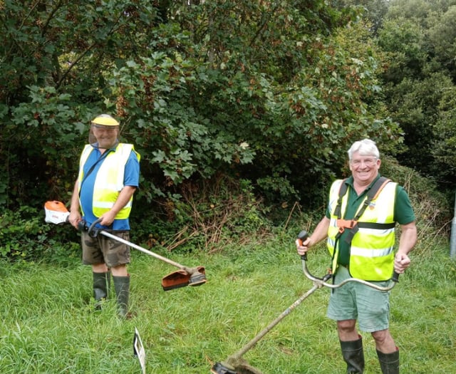 Town council prepares area for 'Seed Bombing' ahead of festival
