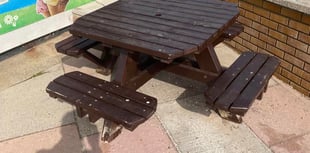 Appeal to find missing bench 