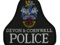 Former cop charged with rape