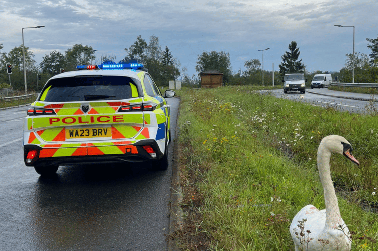 James Pond apprehended by Newton Abbot Police