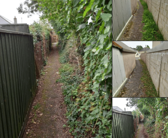 Town council continues its work clearing pathways 