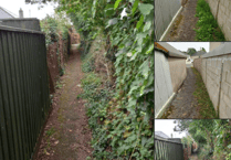 Town council continues its work clearing pathways 