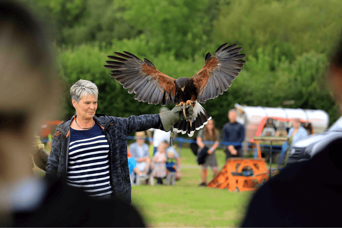 Lustleigh Show 2023