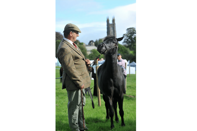 Dominic Howarth-Podesta from Stover with three year old Trefursdon Summer Breeze