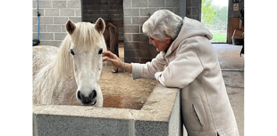 Mare and Foal backs patron Angela for Strictly glory